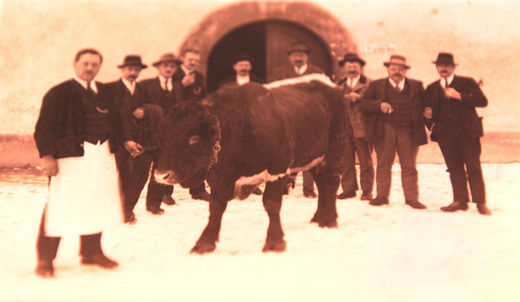 Landgasthof Santner Ξενοδοχείο Thalgau Εξωτερικό φωτογραφία